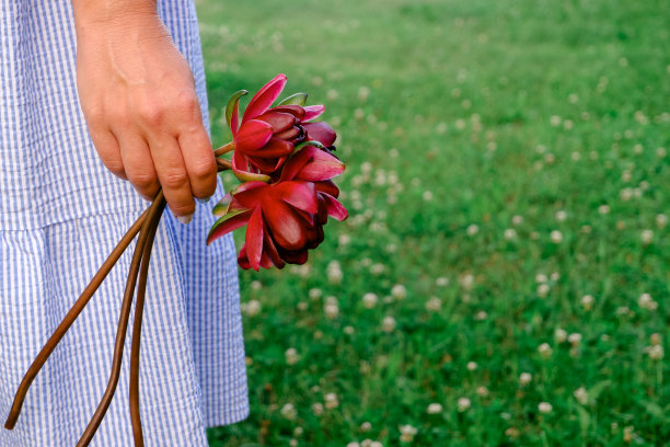 绿茵茵的草地上，一个身穿蓝色连衣裙的女人手里捧着一朵睡莲花。浪漫的照片。放置你的文本。图片下载