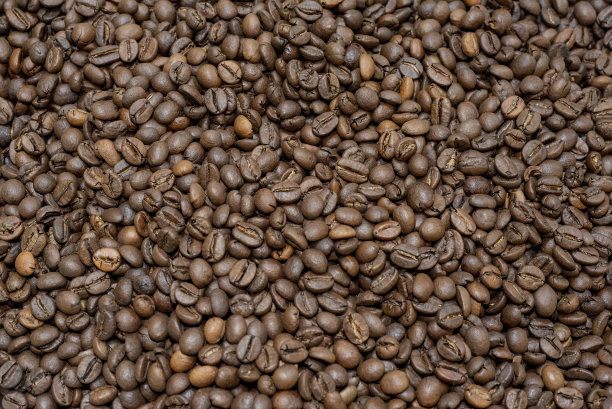 色彩鲜艳的咖啡豆背景图片图片下载
