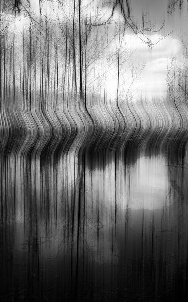 湖中树木的风景倒影图片下载