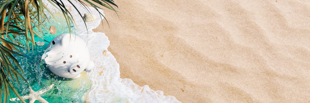 白色的存钱罐在绿松石蓝色的水与棕榈叶在美丽的沙滩图片下载