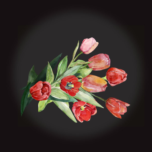 郁金香的模式。图片下载