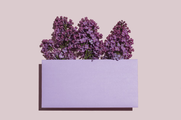 邀请或贺卡模型与空白信封和丁香图片下载