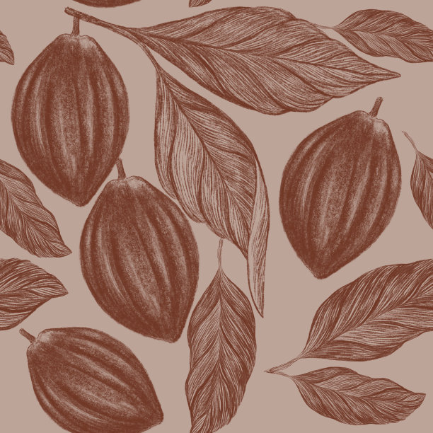 铅笔图案与可可果树图片下载