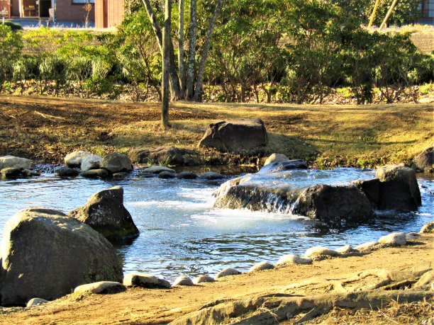 一月阳光明媚的日本公园有小池塘。图片下载