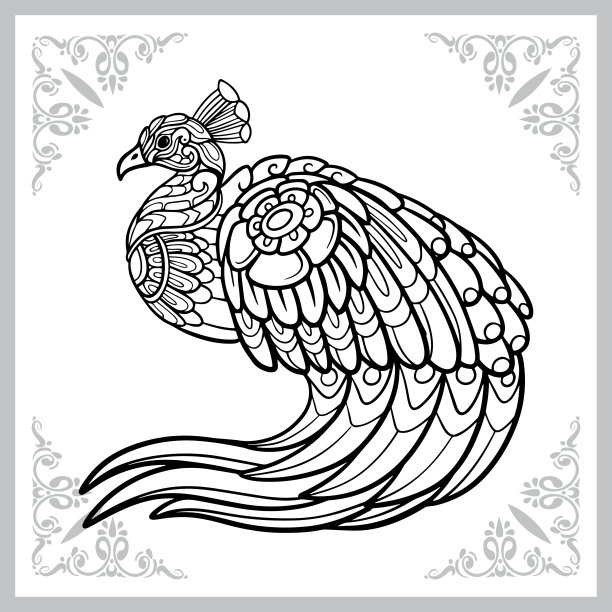 孔雀鸟涂鸦艺术。孤立在白色背景。图片下载