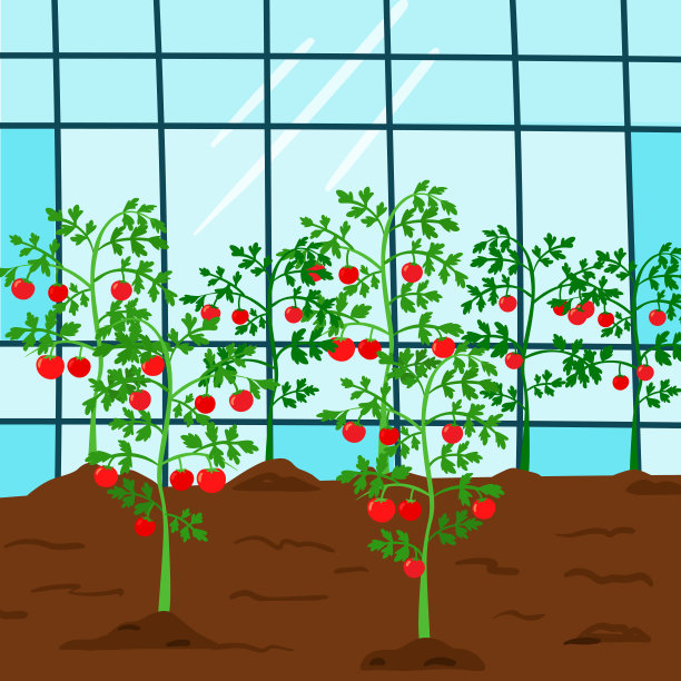 番茄苗木温室插图图片下载
