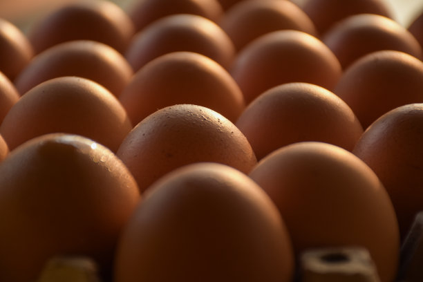 鸡蛋，一种可以每天食用的食物图片下载