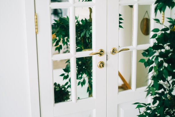 家庭花园里的木门，带有镜面玻璃。图片下载