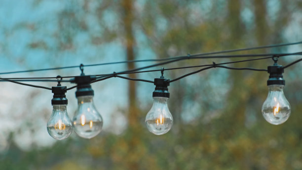 挂在花园的发光装饰钨丝白炽灯泡防水电源线图片下载
