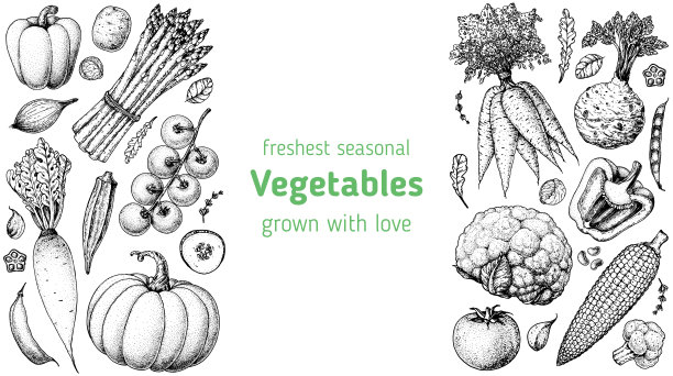 蔬菜手绘插画。顶视图框架。复古手绘草图。有机食品的海报。营养好，食物健康。矢量插图。胡萝卜，南瓜，芦笋，秋葵，芹菜，玉米图片下载