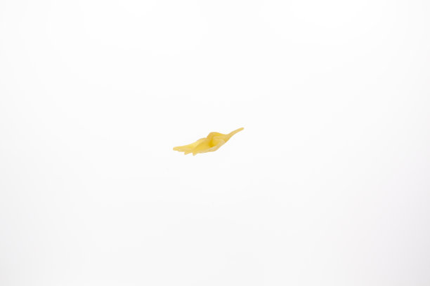 白底的意大利面。图片下载