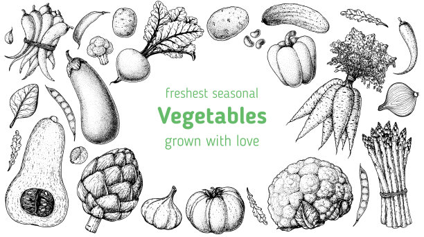 蔬菜手绘插画。顶视图框架。复古手绘草图。有机食品的海报。营养好，食物健康。矢量插图。洋蓟，胡萝卜，辣椒，茄子，甜菜，大蒜图片下载