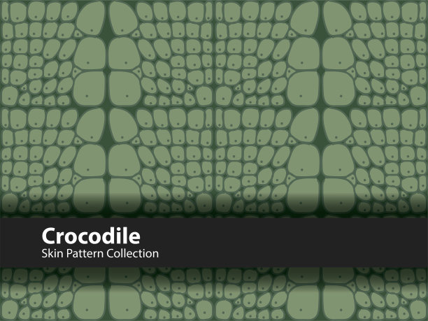 壁纸卡通皮肤动物矢量插图打印时尚收藏背景动物园狩猎艺术图片下载