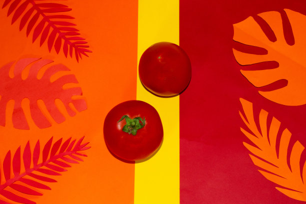 红橙色背景上的两个西红柿，辣椒味的丛林叶子，创意的热带设计，健康的食物图片下载