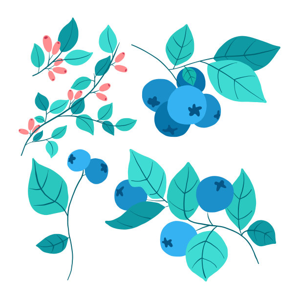 混合的野生覆盆子，黑莓，蓝莓和越桔与绿叶，孤立在白色的背景。现实的矢量图图片下载