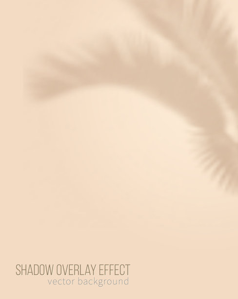 米色背景用于产品展示阴影图片下载