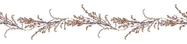 无缝边缘水彩干燥野生花艾孤立在白色背景。手工绘制的棕色边界与分枝草本装饰。植物古董插图墙纸花店。大自然的艺术图片下载