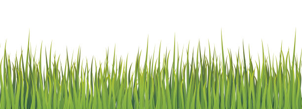 绿色草地无缝现实的边界图片下载