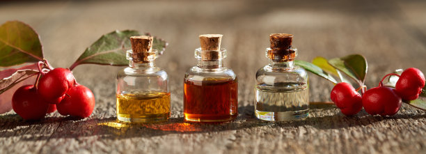 瓶香薰精油与鹿蹄草细枝-全景头图片下载