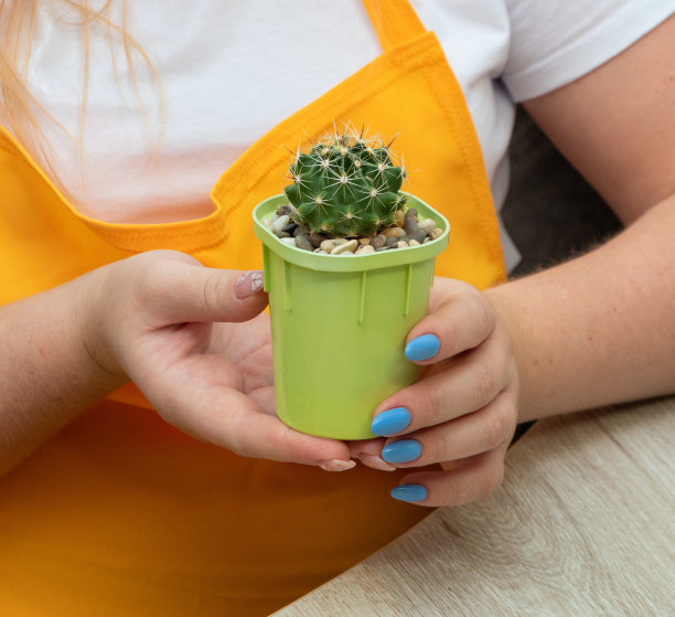 女手里拿着一盆仙人掌。有选择性的重点。图片为文章的爱好，植物。图片下载