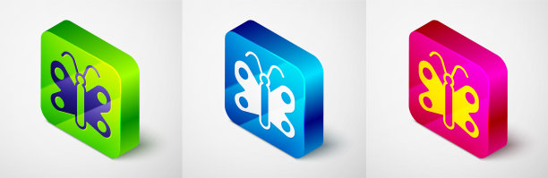 等距蝴蝶图标孤立在灰色图片下载