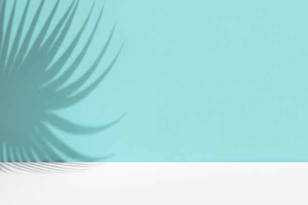 最小的抽象背景与热带棕榈叶的阴影。化妆品的展示。高级讲台上粉彩浅蓝色的墙壁和白色的桌子。展柜，展示柜，前视图。模型。图片下载