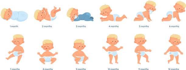 婴儿生长发育阶段由图片下载