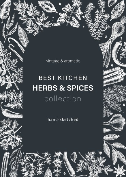 草药和香料矢量卡图片下载