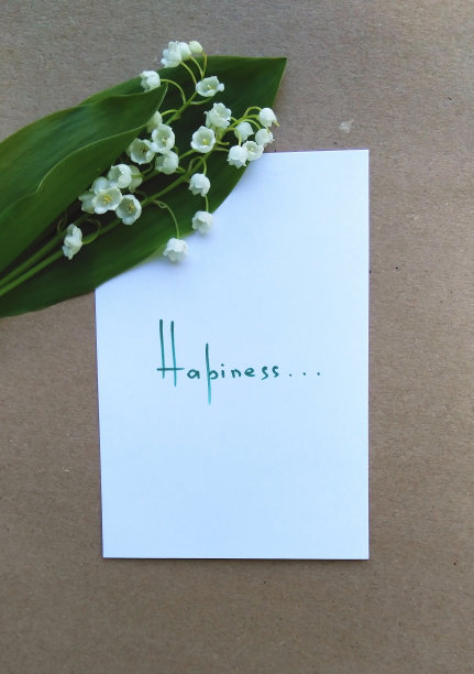 白纸上的文字笔记和一小束铃兰的山谷图片下载