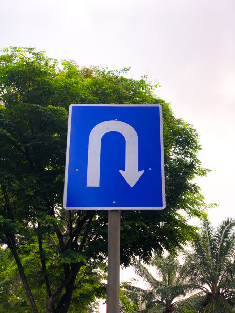 蓝色警告标志与树背景掉头道路标志图片下载