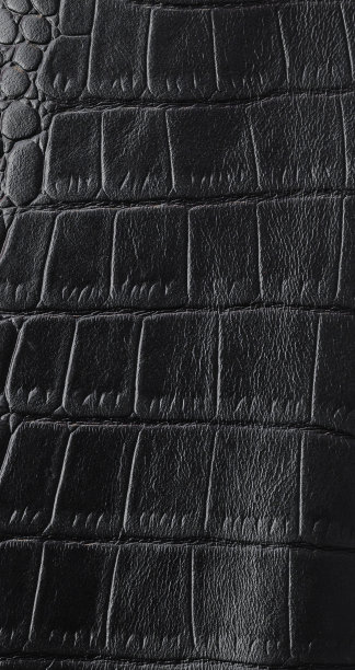鳄鱼皮纹理图片下载