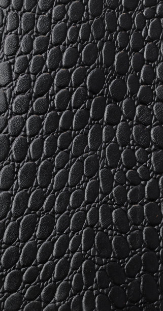 鳄鱼皮纹理图片下载