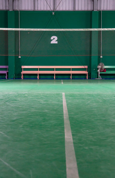 羽毛球场地标准比赛格式图片下载