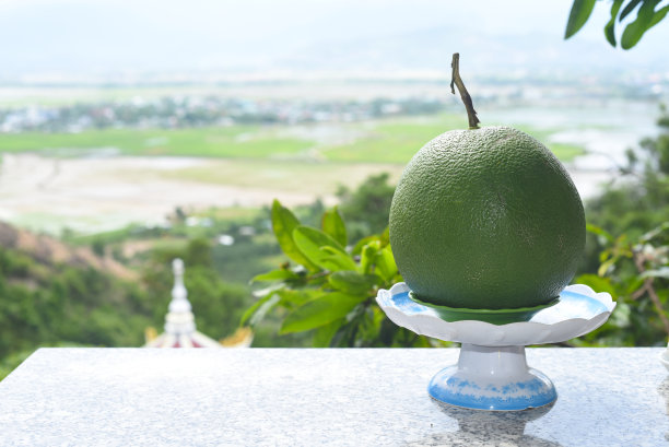越南水果青柚子图片下载
