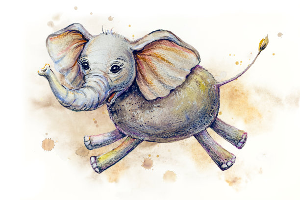 草原动物有趣的性格——小象图片下载