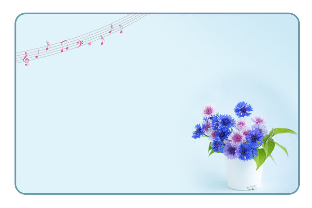 矢车菊花束图片下载