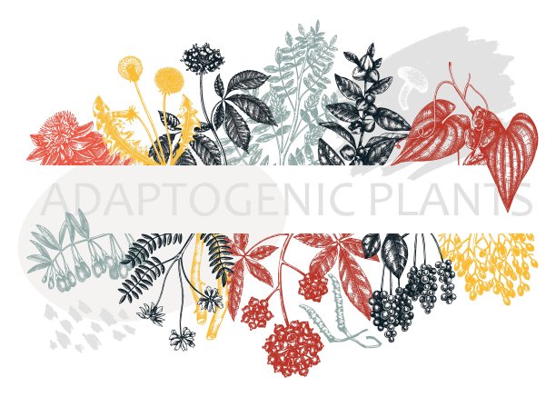 适应性植物的边缘设计图片下载