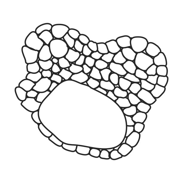 松露图标轮廓图标孤立图片下载