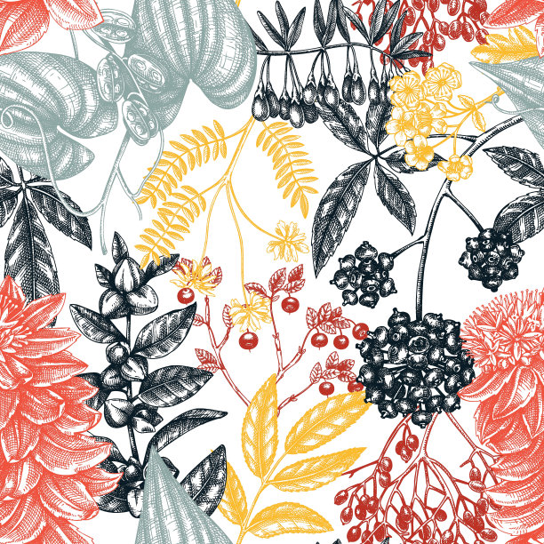 适应性植物无缝格局图片下载