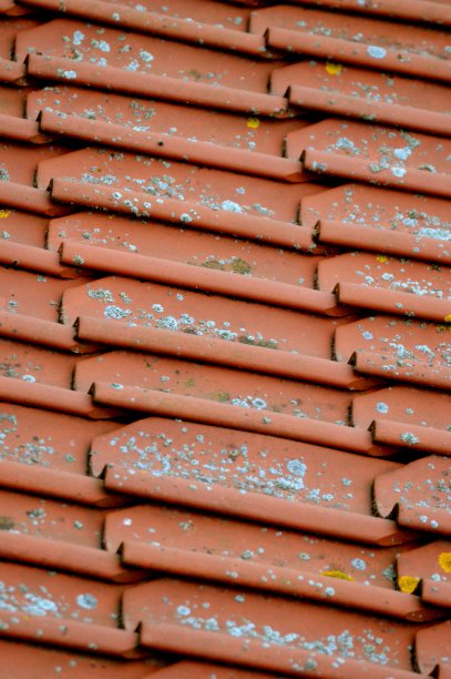 绿藻瓦屋顶图片下载