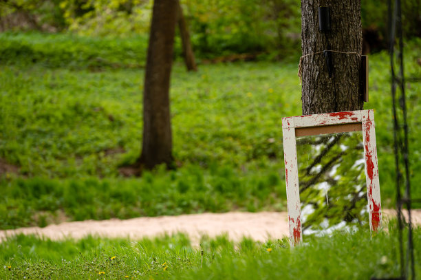 在绿色的森林里，靠在一棵树上的旧镜框里的镜子，是婚礼的装饰图片下载