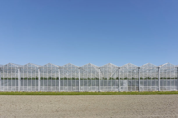 深蓝色天空下的一排温室图片下载