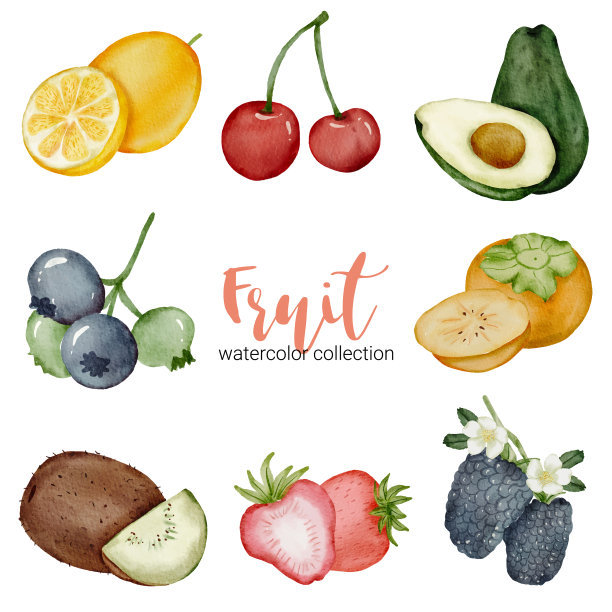 混合水果在水彩收集平上白色图片下载