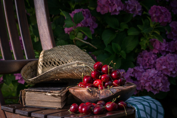 在一本古书旁放着一杯新鲜采摘的樱桃，在绣球花旁放着一把带耳机的现代电话。图片下载