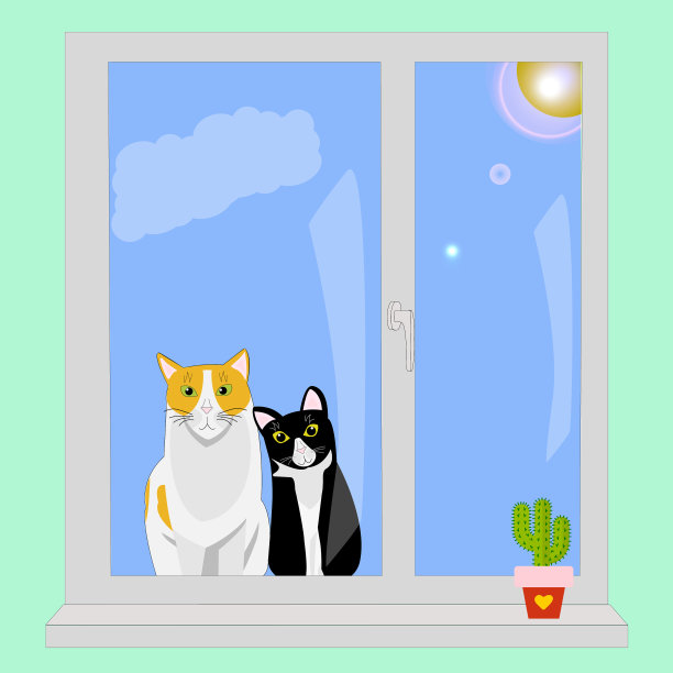 猫坐在窗外看着图片下载