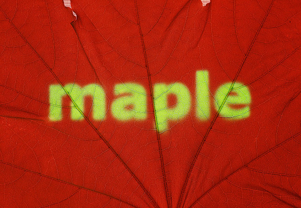 特写红色枫叶背景。秋天的背景。图片下载