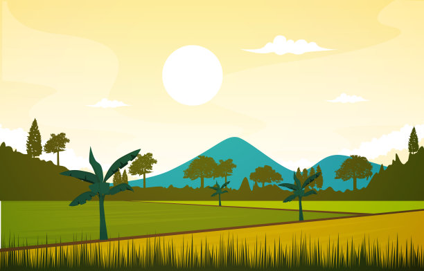 美丽的亚洲稻田农业图片下载