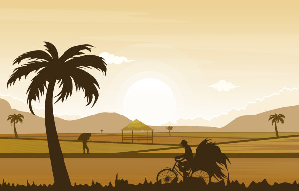 日出亚洲农民稻田农业图片下载