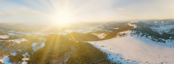 冬季景观在雾与雪和树枝覆盖着白霜和冻结的雪。高质量的照片图片下载
