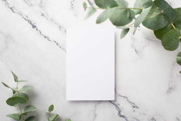 俯视图照片的纸张和花瓶与桉树在白色大理石背景与空白的空间图片下载